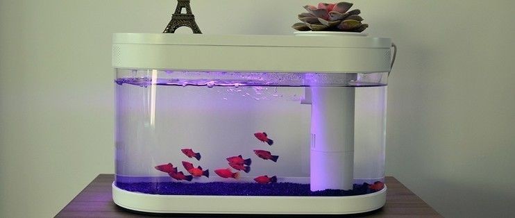 小米畫法幾何魚缸安裝視頻：小米畫法幾何魚缸安裝視頻展示
