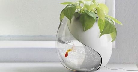 魚缸過濾器的選擇：選擇魚缸過濾器時需要考慮多個因素以下關鍵選擇標準