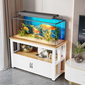 魚缸賣多少錢（如何養(yǎng)護(hù)魚缸生態(tài)系統(tǒng)魚缸材質(zhì)對比分析定制魚缸價(jià)格估算）
