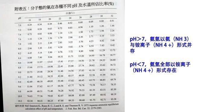 魚缸氨氮檢測頻率建議：關(guān)于魚缸氨氮檢測頻率建議