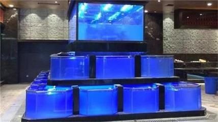 福鼎魚(yú)缸定制服務(wù)：水族館設(shè)計(jì)理念解析水族館設(shè)計(jì)理念解析水族館設(shè)計(jì)理念解析
