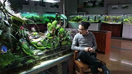 廣州魚缸造景培訓機構哪家好：尋找廣州魚缸造景培訓機構時可以參考以下幾個機構