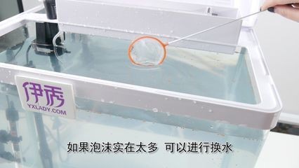 底濾魚缸換水的具體操作步驟，掌握這些知識可以讓你的寵物魚長壽：養魚新手入門指南