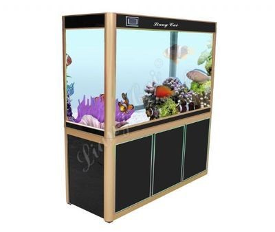 亮彩是什么牌子的魚缸：亮彩魚缸適用魚類推薦