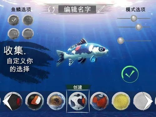 龍魚游泳搖搖晃晃：龍魚游泳搖搖晃晃可能由多種因素引起龍魚游泳不穩定
