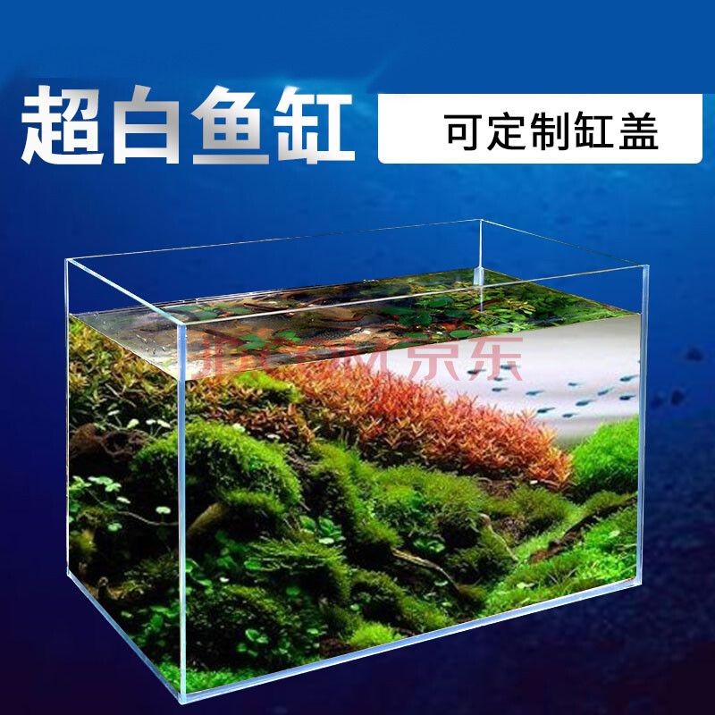 自制魚缸過濾系統的技巧與竅門對于那些喜歡diy的養魚愛好者來說：如何自制魚缸過濾系統
