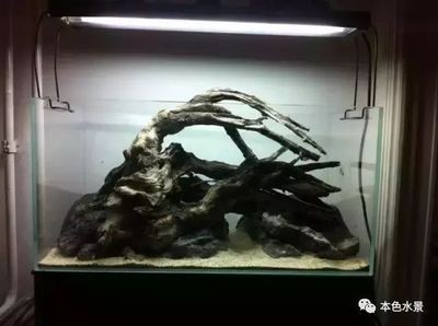 拱形沉木魚缸造景的詳細(xì)信息：拱形沉木魚缸造景是一種常見的水族箱裝飾方式