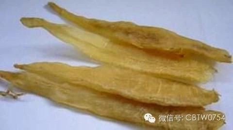魚缸防虹吸孔聲音大怎么回事(魚缸虹吸口噪音大)