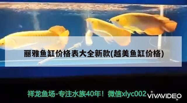 麗雅魚缸價格表大全新款(越美魚缸價格) 麗雅魚缸價格表大全新款(越美魚缸價格) 全國水族館企業名錄