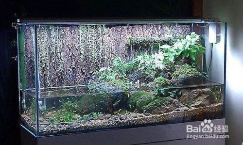 瑞昌市鑫海水族館（瑞昌市鑫海水族館電話）