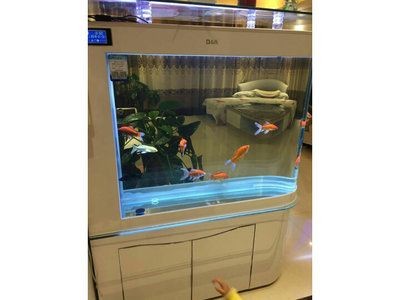 可麗愛魚缸維修點查詢官網（可麗愛魚缸維修點查詢官網可以通過以下途徑獲取信息）