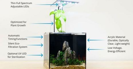 如何降低魚缸水分蒸發：如何減少魚缸水分蒸發
