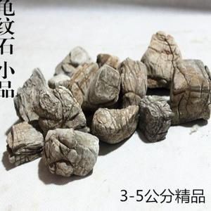 龜紋石在魚缸造景中的運用：龜紋石在魚缸造景中具有獨特的魅力和應用和應用方式