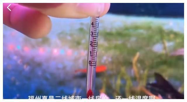 昆區美婷水族館（昆區美婷水族館電話）