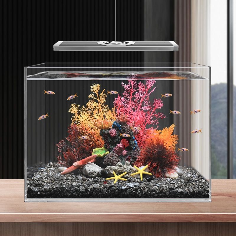 海水魚缸可以直接用海水嗎（海水可以直接使用嗎？）