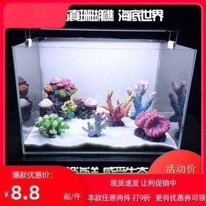 魚缸珊瑚發黃怎么辦：關于魚缸珊瑚發黃的解決辦法