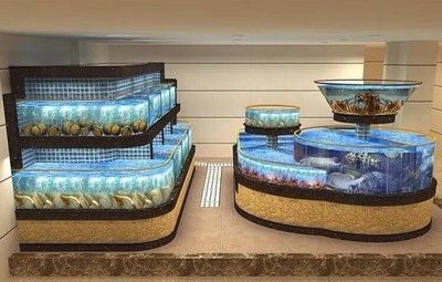 魚缸擺放的注意事項和技巧：店鋪中擺放魚缸的注意事項和技巧和技巧
