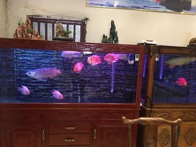 魚缸視頻安裝：魚缸安裝文字版教程