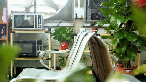 魚缸與微波爐擺放的適宜距離：家電擺放風(fēng)水禁忌一覽表，如何選擇合適尺寸的魚缸