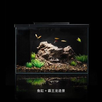 小佩魚缸pro過濾改造：小佩魚缸pro過濾系統改造案例分享小佩魚缸pro濾材選擇指南