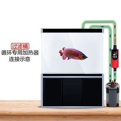 底濾魚缸加熱棒的擺放位置對于魚缸水溫控制至關重要：養魚新手的加熱棒選購指南