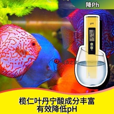 金龍魚寶寶在嘴巴里(金龍魚寶寶在嘴巴里吃什么)
