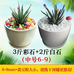 魚缸彩石怎么清洗：魚缸彩石怎么清洗魚缸彩石清洗的建議以保持水質清潔和美觀
