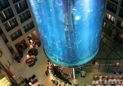 世界上最貴的魚缸有多貴？：世界上最貴的魚缸