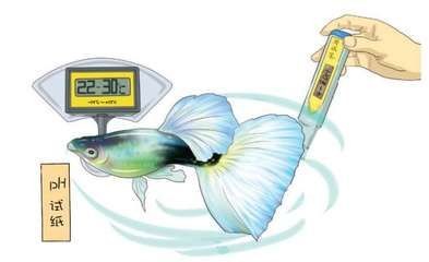 淡水魚魚缸溫度調(diào)節(jié)魚缸溫度對水溫的影響有所不同：淡水魚的水溫調(diào)節(jié)方法