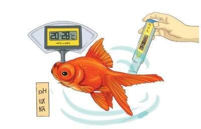 淡水魚魚缸溫度調(diào)節(jié)魚缸溫度對水溫的影響有所不同：淡水魚的水溫調(diào)節(jié)方法