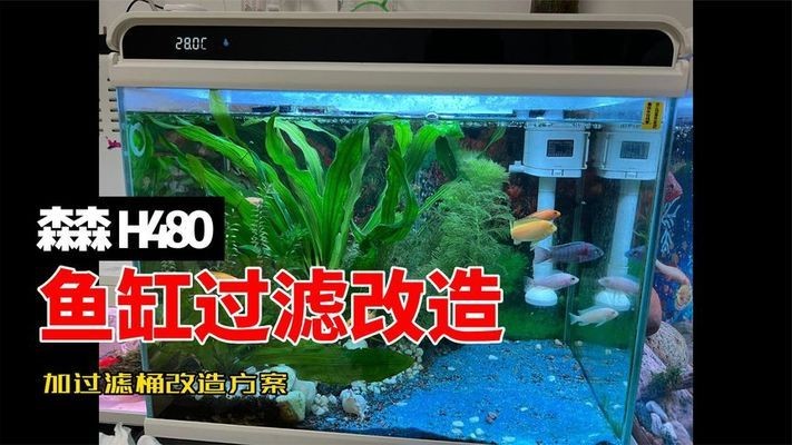 蒲城縣老兵水族館（蒲城縣老兵水族館電話）