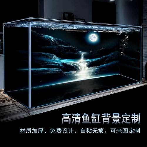 龍魚魚缸壁紙圖片