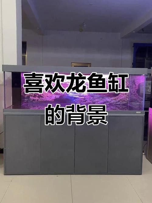 龍魚魚缸壁紙圖片