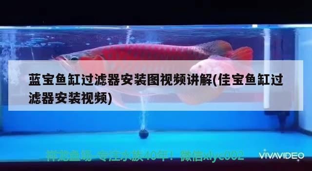 佳寶魚缸過濾器安裝視頻：佳寶魚缸過濾器安裝方法佳寶魚缸過濾器安裝方法