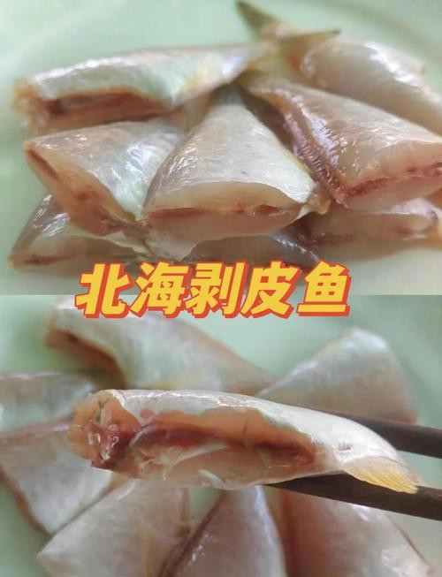 北海龍魚圖片大全高清圖