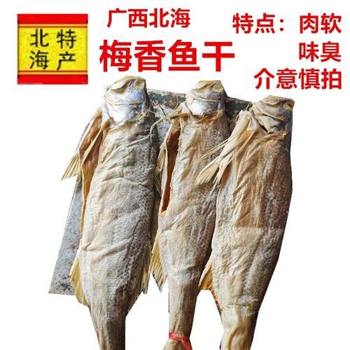 北海龍魚圖片大全高清圖