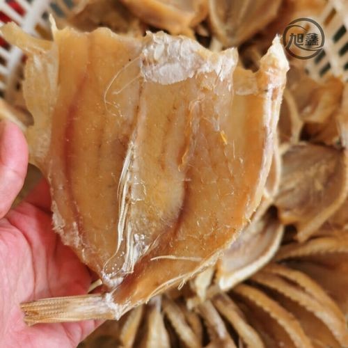 北海龍魚圖片大全高清圖