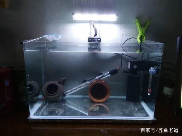 魚缸水質檢測儀器維護方法：魚缸水質檢測儀器的維護方法