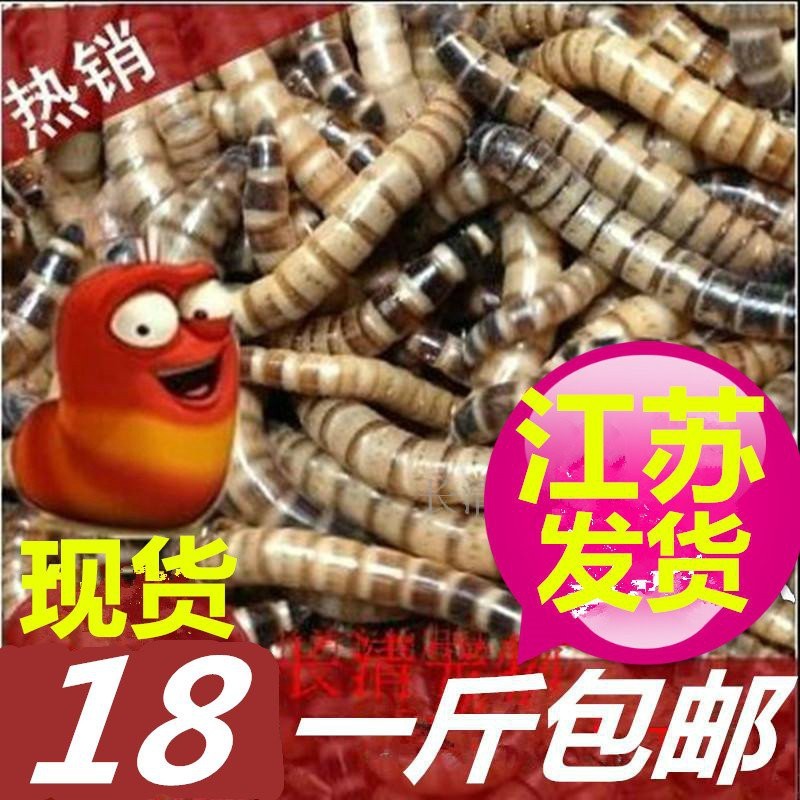 森森大麥蟲飼料的具體使用方法