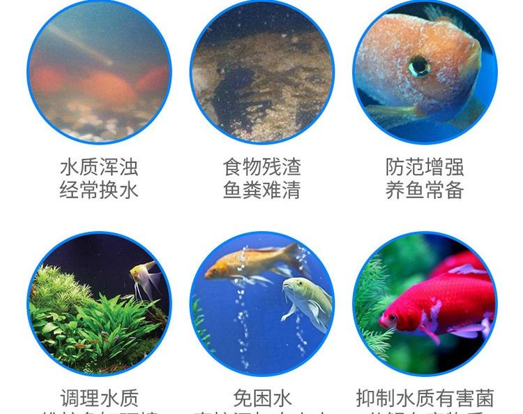 魚缸凈水劑的使用方法：如何選擇合適的魚缸凈水劑，魚缸凈水劑與過濾系統(tǒng)的配合