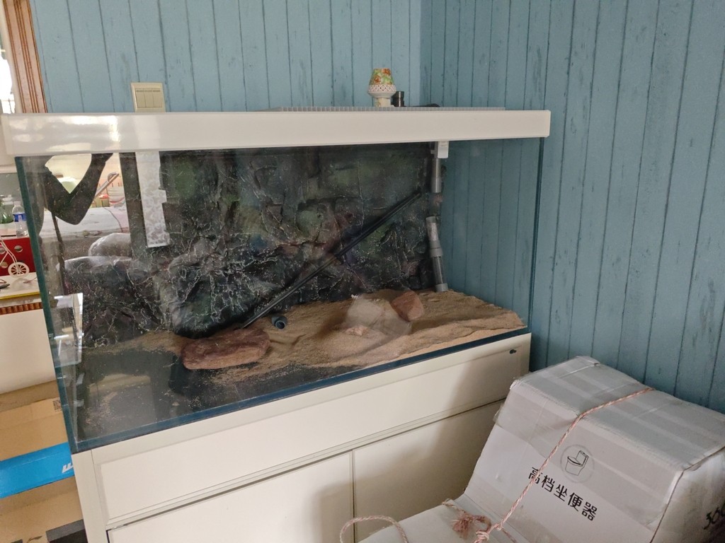 好吃灰呢，等等需要收拾一下了。