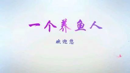 龍魚的飼養與鑒賞作文怎么寫三年級下冊