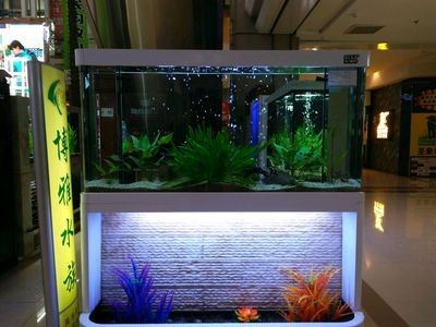 附近有沒有修魚缸的（附近有沒有修魚缸的修魚缸的）