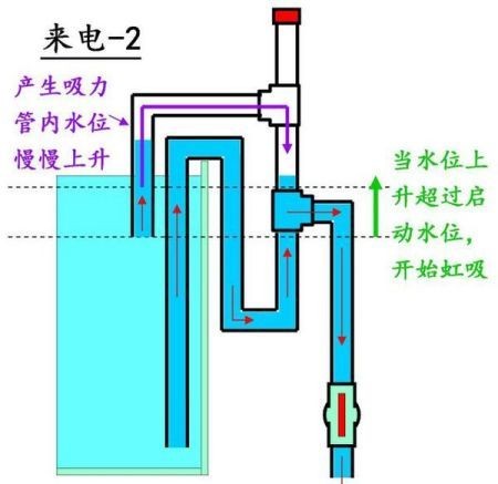 魚缸自動水循環的應用：虹吸原理在魚缸中的應用