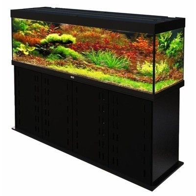 貴族魚缸的官方網站可以從搜索結果中了解到貴族魚缸的一些信息：如何打造個性化的生態魚缸