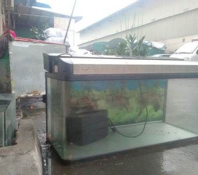 貴族魚缸的官方網站可以從搜索結果中了解到貴族魚缸的一些信息：如何打造個性化的生態魚缸