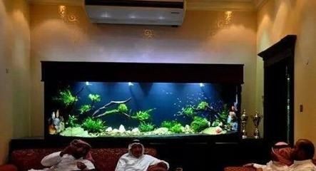 貴族魚缸的官方網站可以從搜索結果中了解到貴族魚缸的一些信息：如何打造個性化的生態魚缸