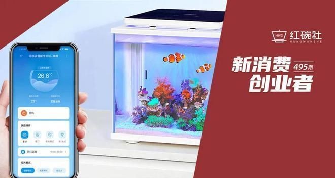海享說魚缸制冷不行：海享說魚缸制冷不足如何應(yīng)急處理魚缸制冷設(shè)備升級(jí)建議
