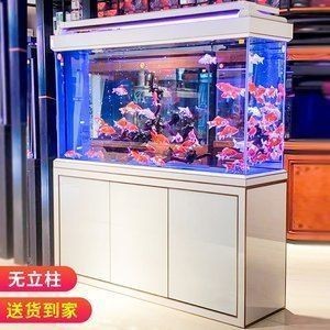 哪個牌子龍魚缸好一點又實惠的，知名龍魚缸品牌介紹