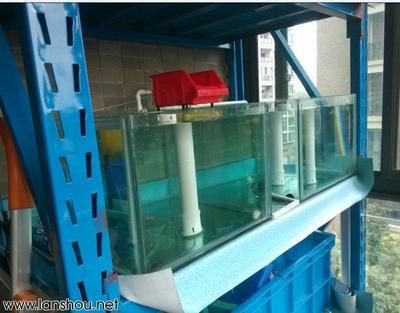 魚缸過濾器怎樣安裝出水快一點視頻(魚缸過濾器安裝步驟) 魚缸百科 第1張 魚缸過濾器怎樣安裝出水快一點視頻(魚缸過濾器安裝步驟) 魚缸過濾器怎樣安裝出水快一點視頻(魚缸過濾器安裝步驟) 魚缸百科 第1張